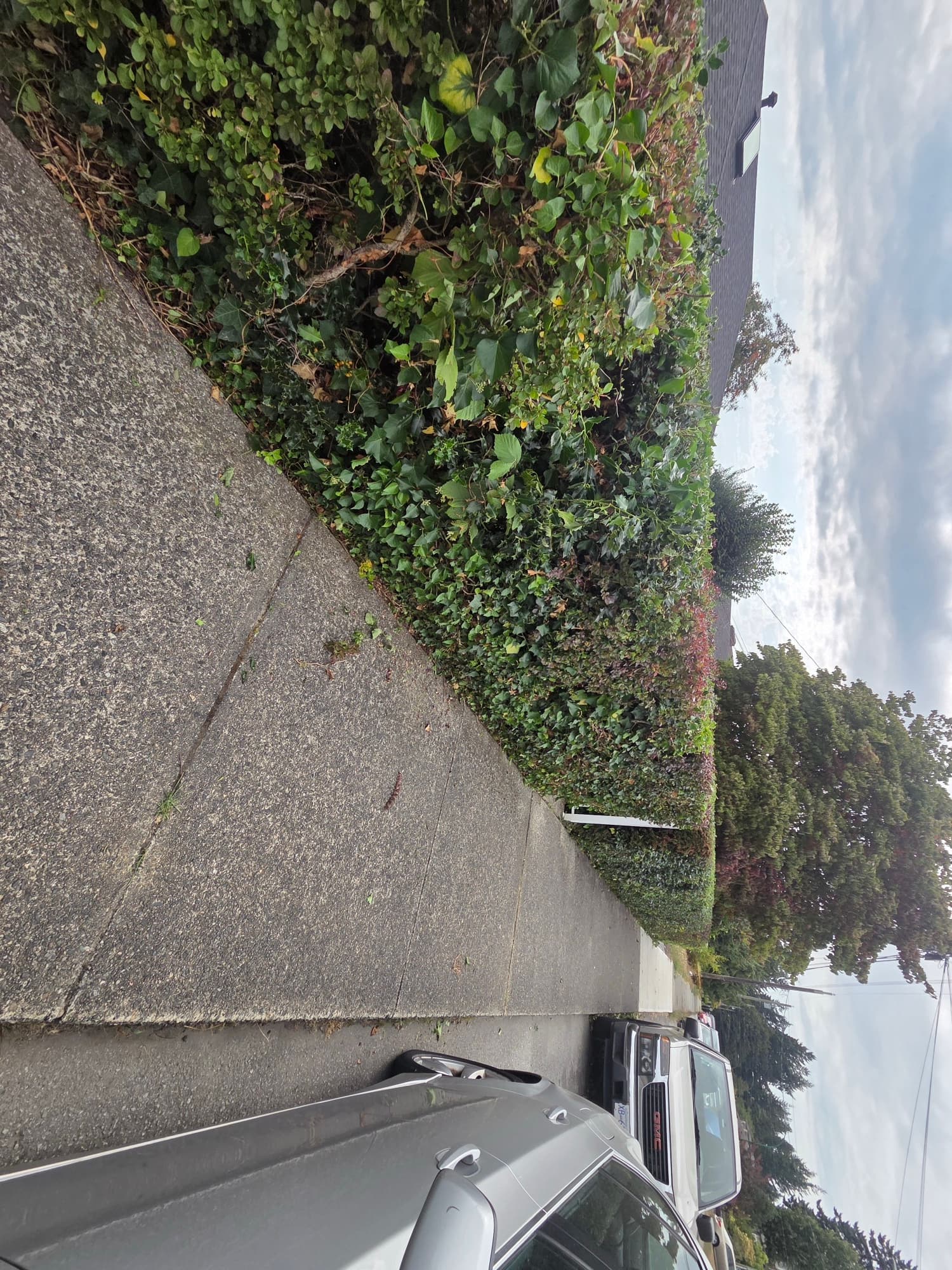 Sean's Lawns project photo 6