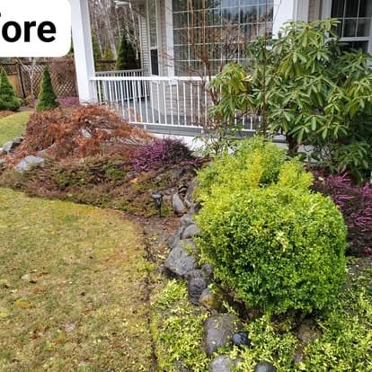 Front Garden Bed Tidy-Up — Before