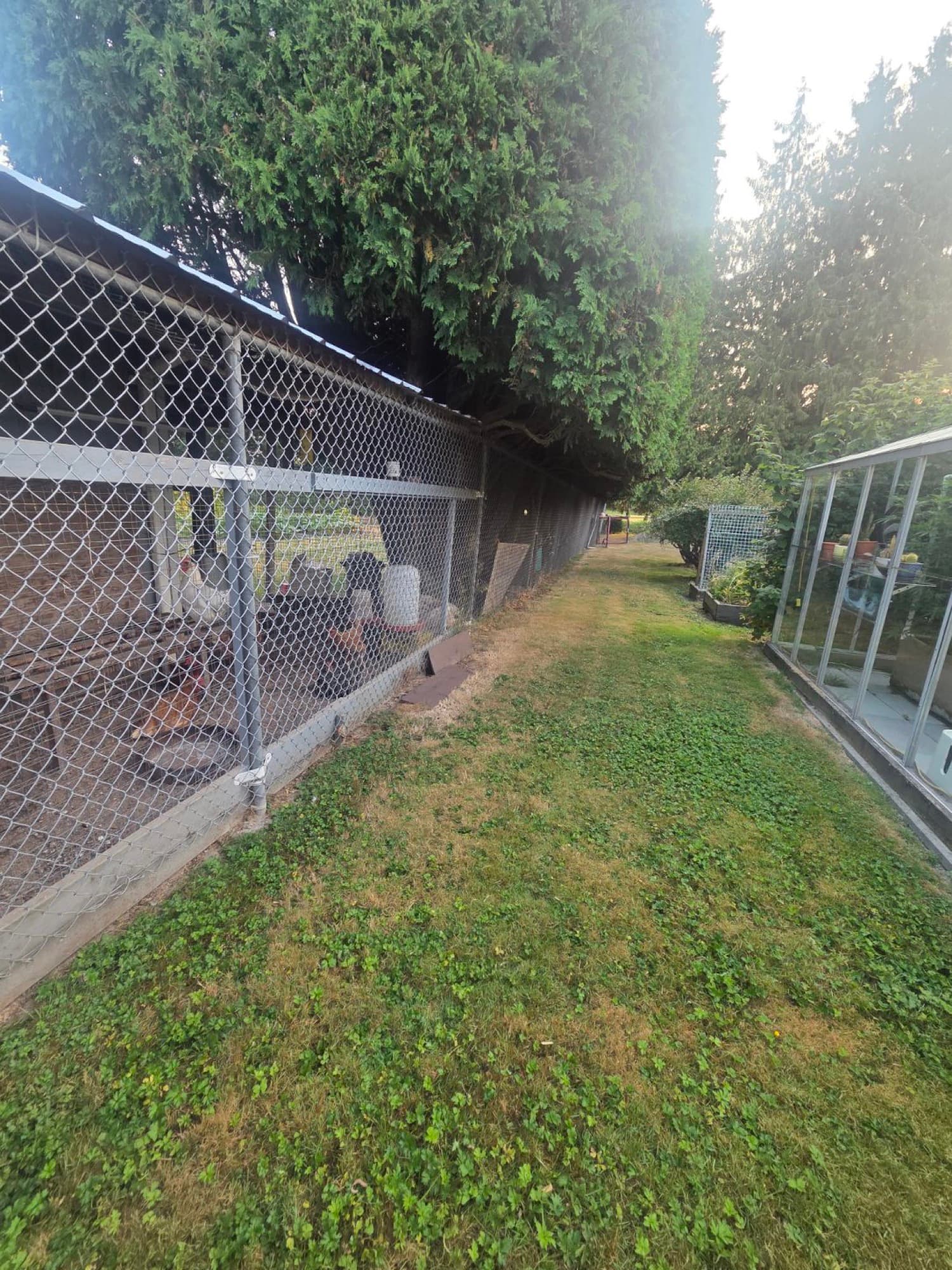 Sean's Lawns project photo 3