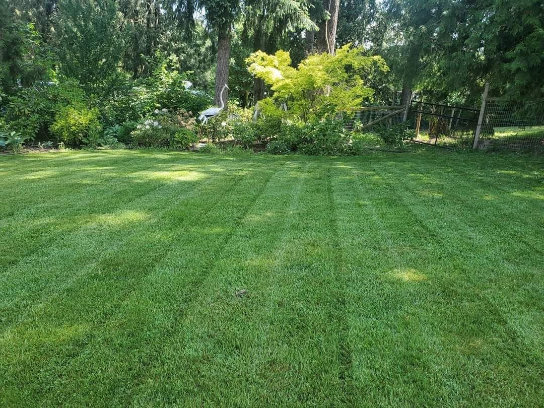 Lawn Mowing & Care